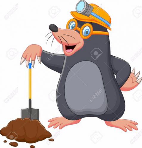 39821270-cartoon-mole-holding-shovel.jpg